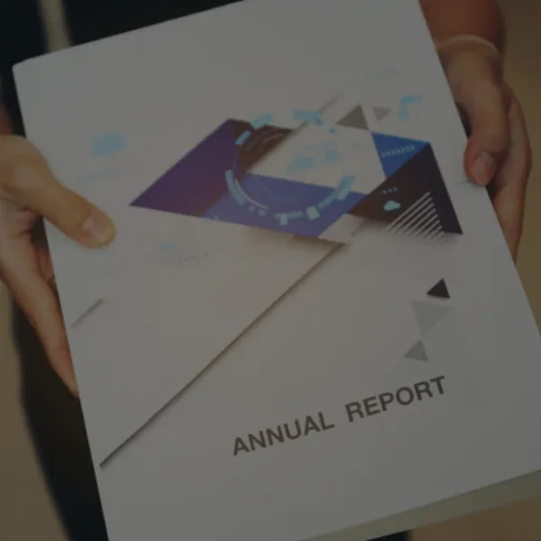 MD&A in annual reports is a story told by management about the company's finances and future plans.